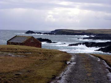 Butt of Lewis